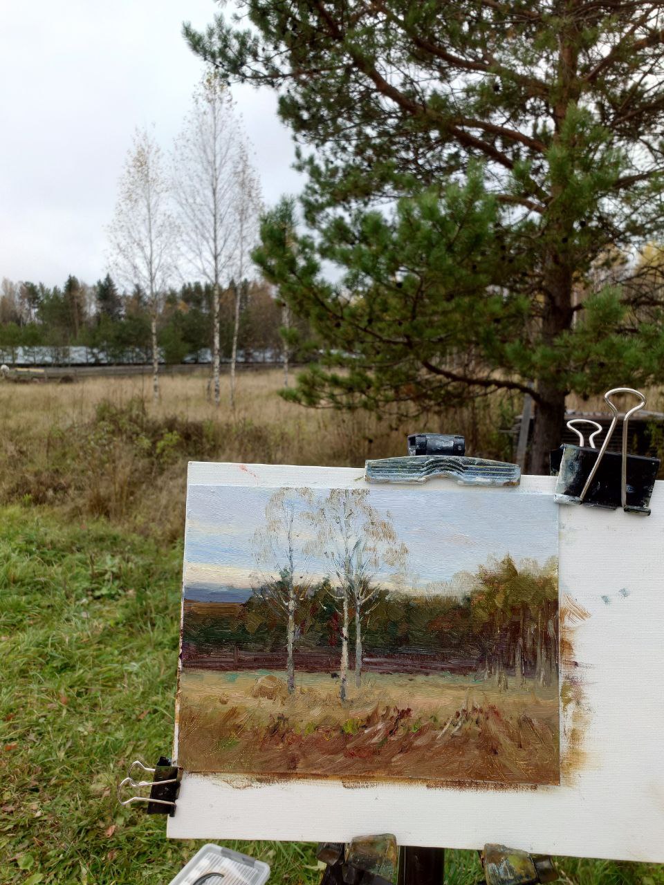 Пейзаж с березами